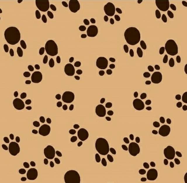 CAMEL Dog Paws Fleece Fabric