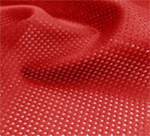 Red Micro Mesh Jersey Fabric