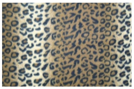 Jaguar Print Fleece Fabric