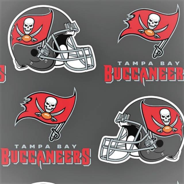 Tampa Bay Buccaneers New NFL Fleece Fabric