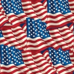 USA Glory Flags Allover Fleece Fabric