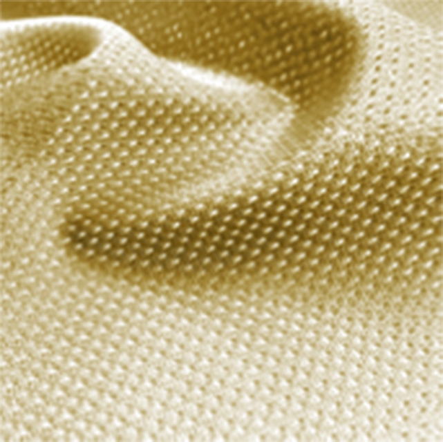 👕Vegas Gold Micro Mesh Jersey Fabric - Fabric by the Yard