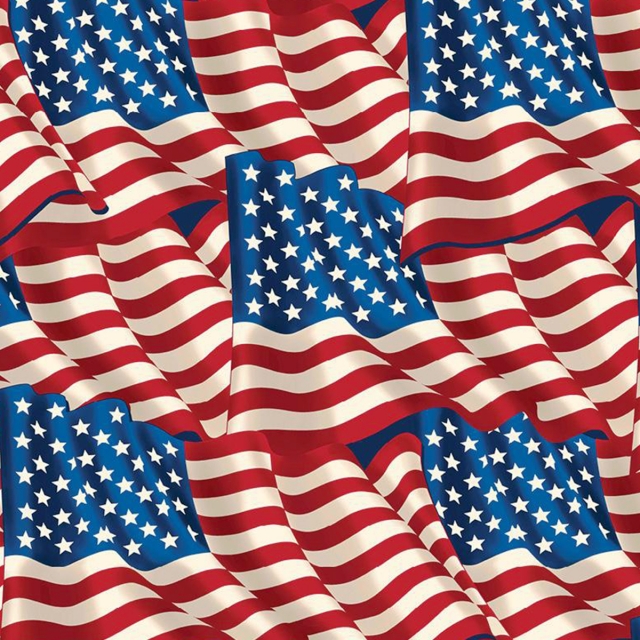 USA Glory Flags Allover Fleece Fabric