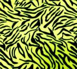 Neon Yellow Zebras Stripes Fleece Fabric