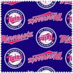 MLB Atlanta Braves Fleece Fabric, Hobby Lobby